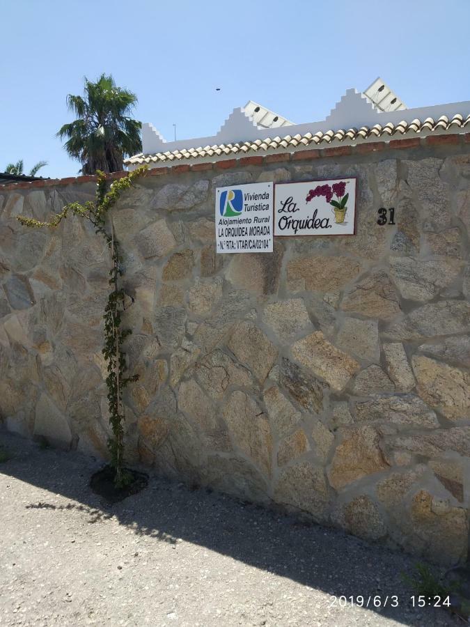La Orquídea Morada Conil De La Frontera Exterior foto