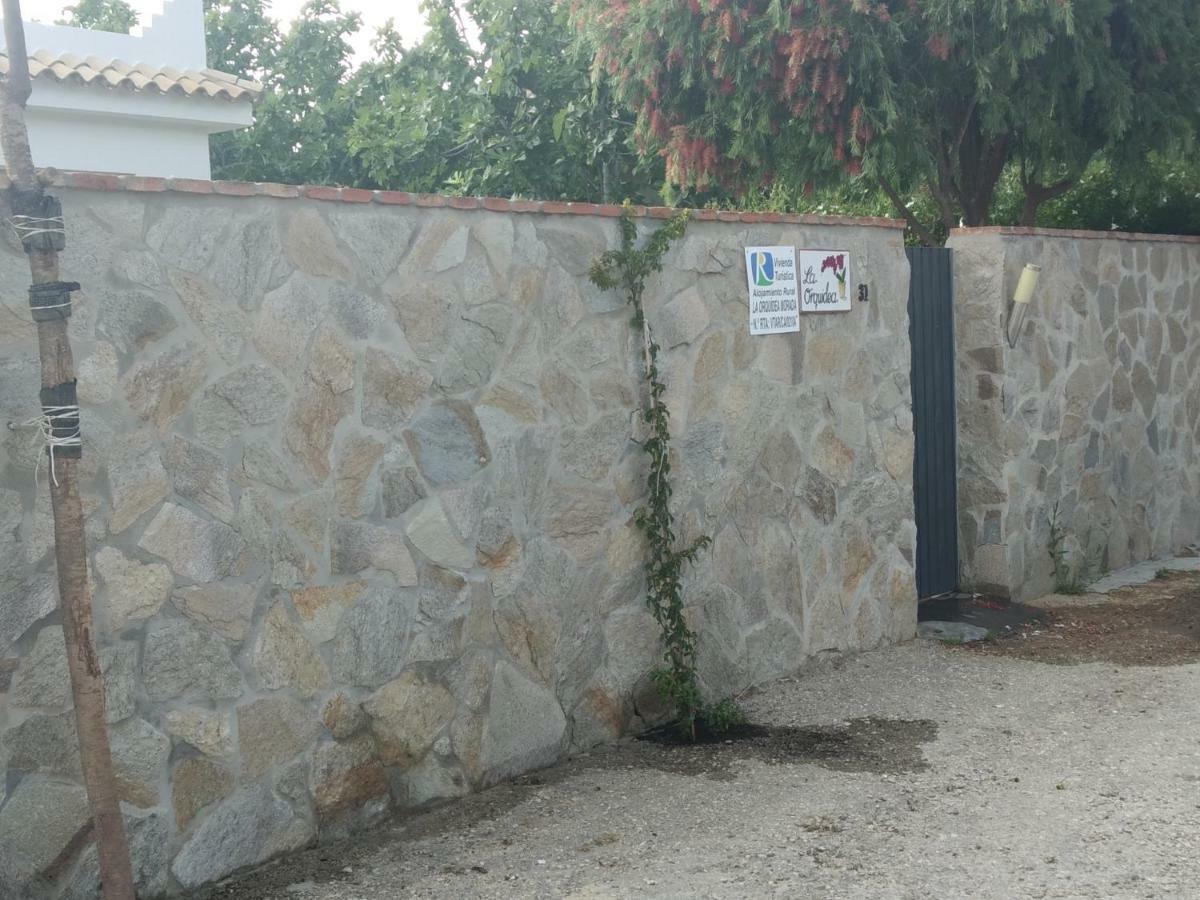 La Orquídea Morada Conil De La Frontera Exterior foto