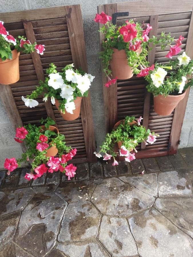 La Orquídea Morada Conil De La Frontera Exterior foto