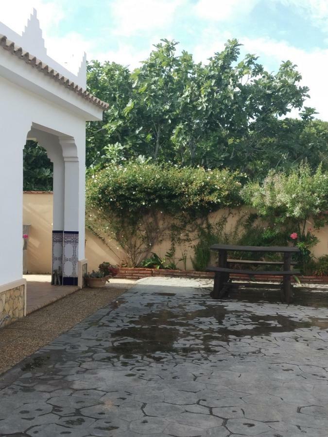 La Orquídea Morada Conil De La Frontera Exterior foto